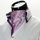 Мужской шейный платок аскот RM9030-9