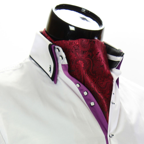 Men`s Floral Paisley Ascot Cravat CH 9050-5