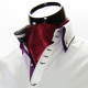 Men`s Floral Paisley Ascot Cravat CH 9050-5