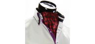 Men`s Floral Paisley Ascot Cravat CH 9050-9