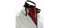 Men`s Floral Paisley Ascot Cravat CH 9050-11