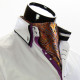 Men`s Floral Paisley Ascot Cravat CH 9050-13