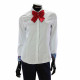 Women`s Bow Tie ZB 911-11