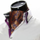 Men`s Floral Paisley Ascot Cravat CH 9050-20