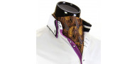 Men`s Vintage Paisley Ascot Cravat CH 9070-2