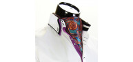 Men`s Floral Paisley Ascot Cravat CH 9070-3