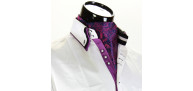 Men`s Floral Paisley Ascot Cravat CH 9070-8