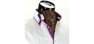 Men`s Floral Paisley Ascot Cravat CH 9070-9