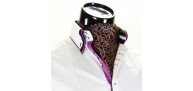Men`s Floral Paisley Ascot Cravat CH 9070-11