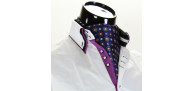 Men`s Floral Paisley Ascot Cravat CH 9070-12