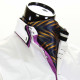 Men`s Floral Paisley Ascot Cravat CH 9070-14