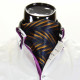Men`s Floral Paisley Ascot Cravat CH 9070-14