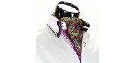 Men`s Floral Paisley Ascot Cravat CH 9070-17