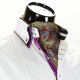 Men`s Floral Paisley Ascot Cravat CH 9070-17