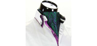 Men`s Floral Paisley Ascot Cravat CH 9070-18