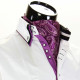 Men`s Floral Paisley Ascot Cravat CH 9070-19