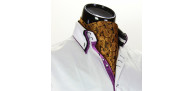 Men`s Floral Paisley Ascot Cravat CH 9080-1