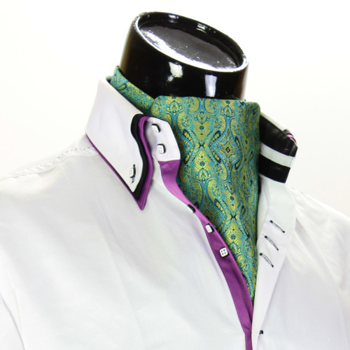 Мужской шейный платок аскот CH 9080-5