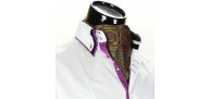 Men`s Floral Paisley Ascot Cravat CH 9080-7