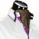 Men`s Floral Paisley Ascot Cravat CH 9080-7