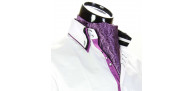 Men`s Floral Paisley Ascot Cravat CH 9080-8