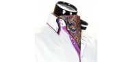 Men`s Floral Paisley Ascot Cravat CH 9080-9