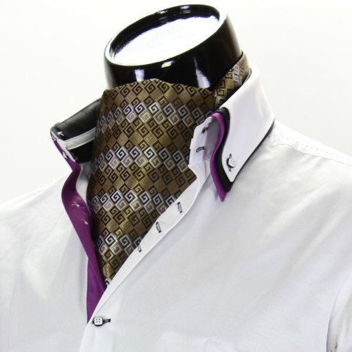 Men`s Pattern Paisley Ascot Cravat CH 9020-1