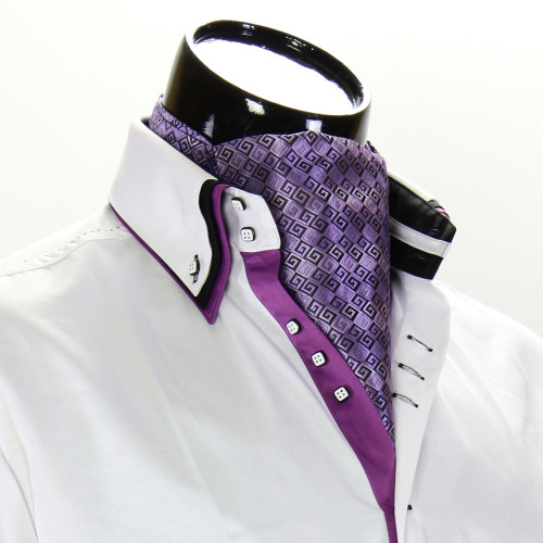 Men`s Pattern Paisley Ascot Cravat CH 9020-2