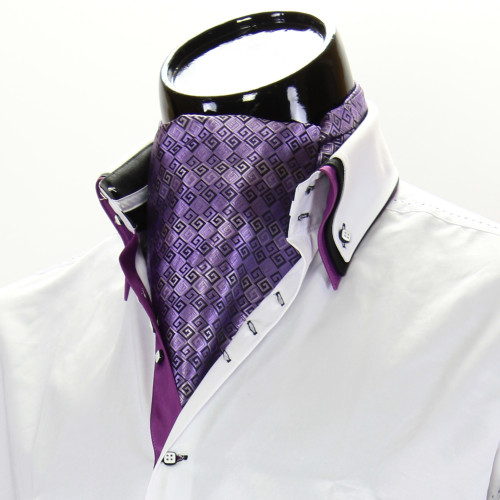 Men`s Pattern Paisley Ascot Cravat CH 9020-2