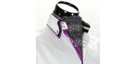 Men`s Pattern Paisley Ascot Cravat CH 9020-3