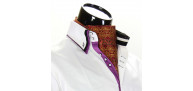 Men`s Pattern Paisley Ascot Cravat CH 9020-4