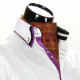 Men`s Pattern Paisley Ascot Cravat CH 9020-4