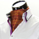 Men`s Pattern Paisley Ascot Cravat CH 9020-4
