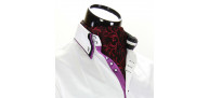 Men`s Pattern Paisley Ascot Cravat CH 9020-5
