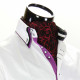 Men`s Pattern Paisley Ascot Cravat CH 9020-5