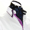 Men`s Pattern Paisley Ascot Cravat CH 9020-6