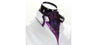 Men`s Pattern Paisley Ascot Cravat CH 9020-8