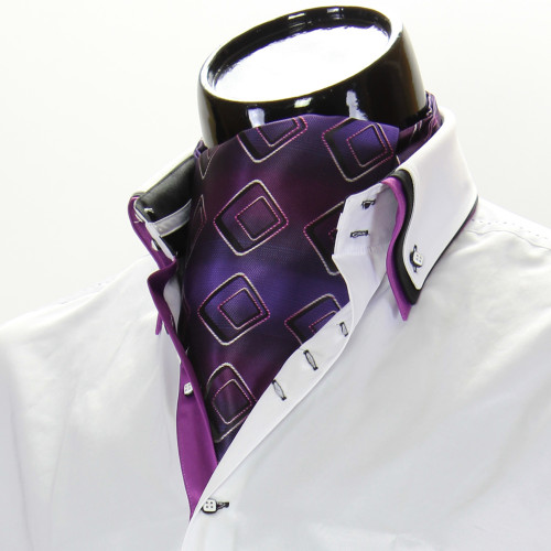 Men`s Pattern Paisley Ascot Cravat CH 9020-8