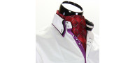 Men`s Pattern Paisley Ascot Cravat CH 9020-9