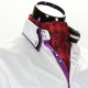 Men`s Pattern Paisley Ascot Cravat CH 9020-9