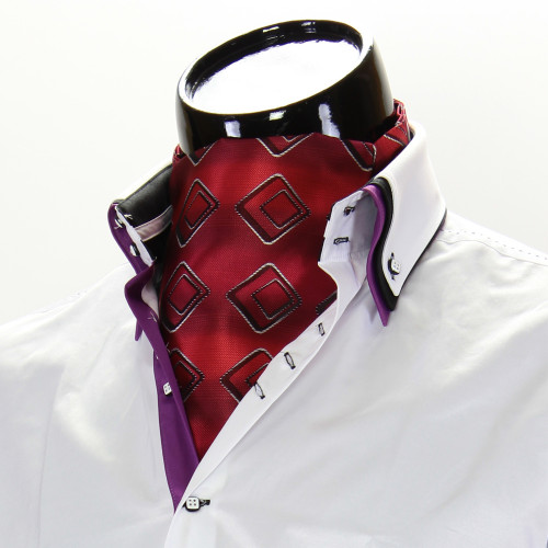 Men`s Pattern Paisley Ascot Cravat CH 9020-9