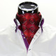 Men`s Pattern Paisley Ascot Cravat CH 9020-9