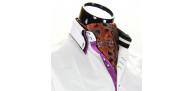 Men`s Floral Paisley Ascot Cravat CH 9080-13