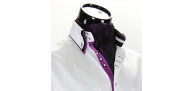 Men`s Pattern Paisley Ascot Cravat CH 9020-10