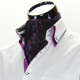 Men`s Pattern Paisley Ascot Cravat CH 9020-10