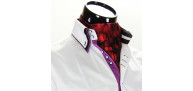 Men`s Pattern Paisley Ascot Cravat CH 9020-11