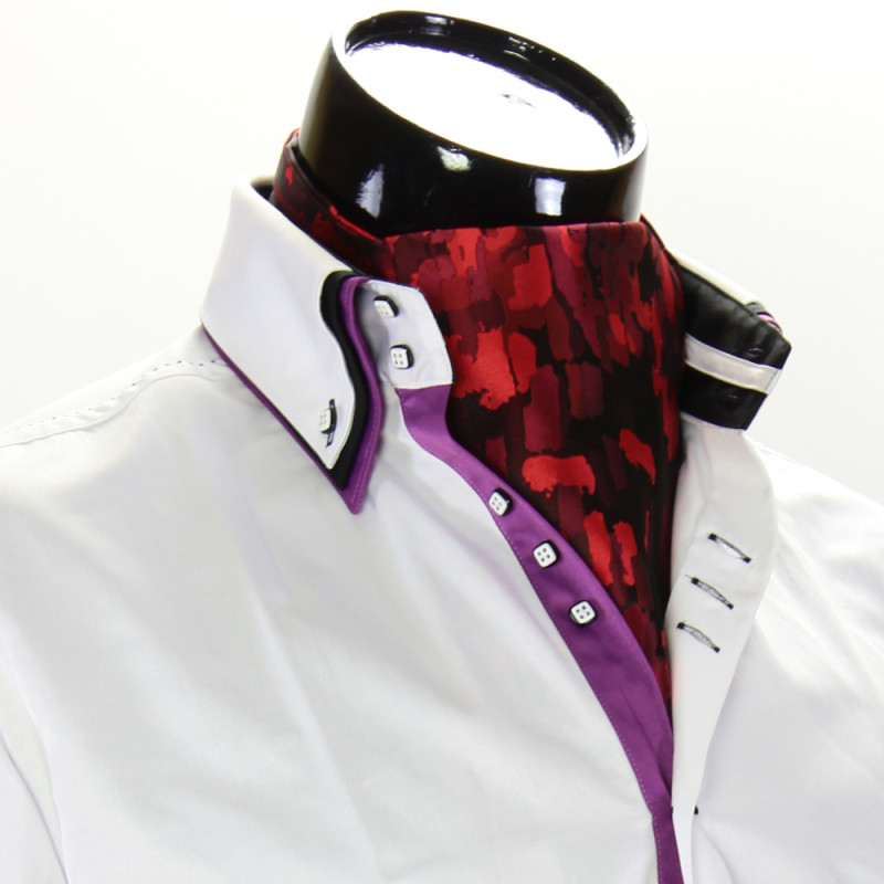 Men`s Pattern Paisley Ascot Cravat CH 9020-11