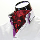 Men`s Pattern Paisley Ascot Cravat CH 9020-11